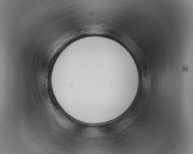 X0000112500534200908241351