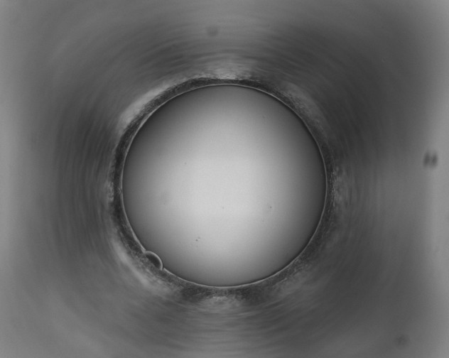 X0000112500536200908241351