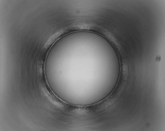 X0000112500537200908241351