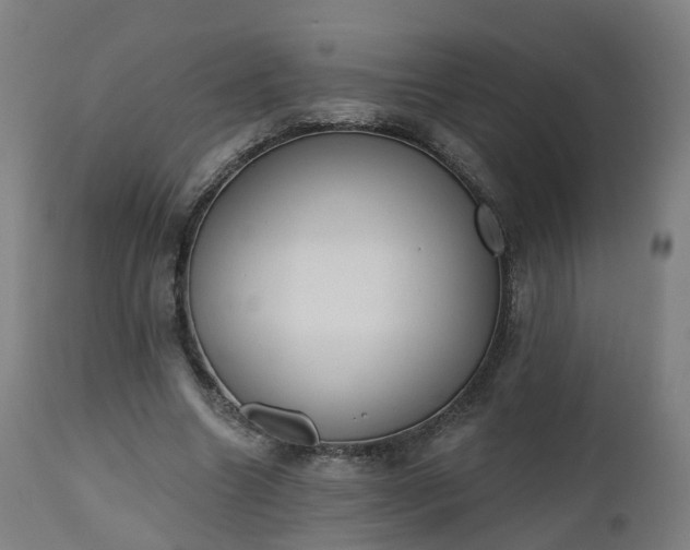 X0000112500538200908241351