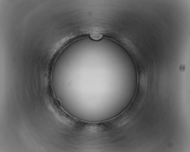 X0000112500540200908241351