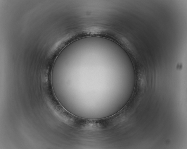 X0000112500543200908241351