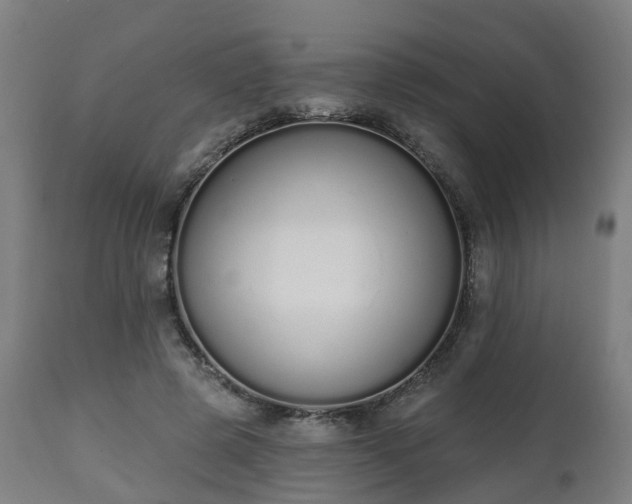 X0000112500545200908241351