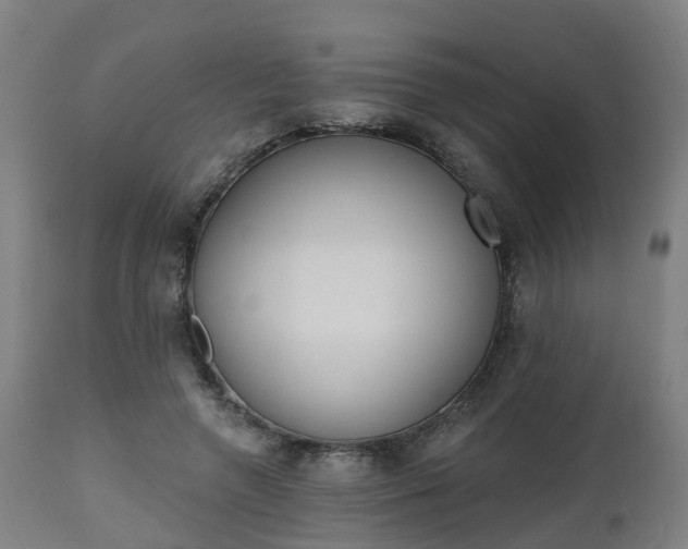 X0000112500546200908241351