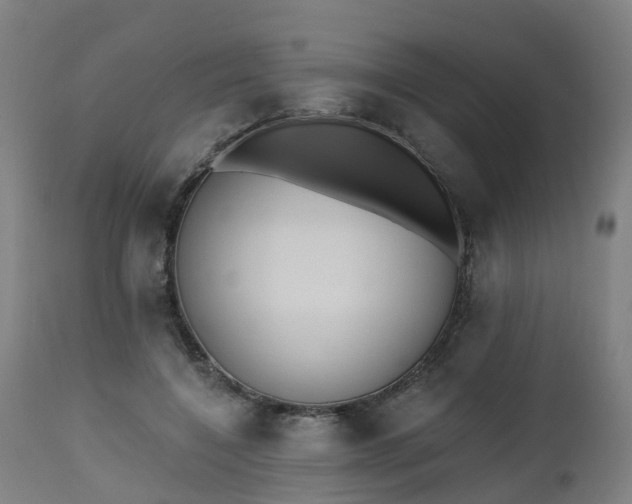 X0000112500548200908241352