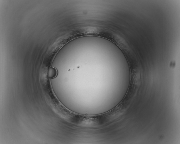 X0000112500550200908241352