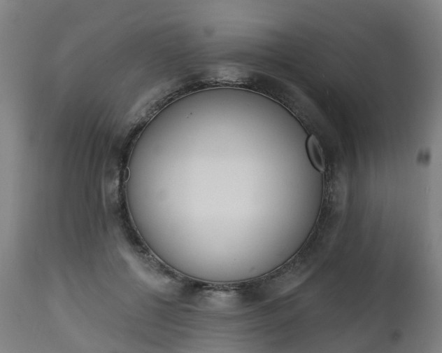 X0000112500552200908241352