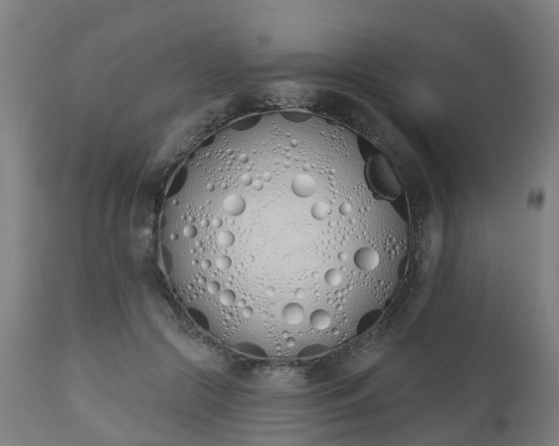 X0000112500553200908241352