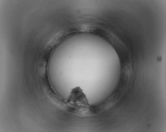 X0000112500554200908241352