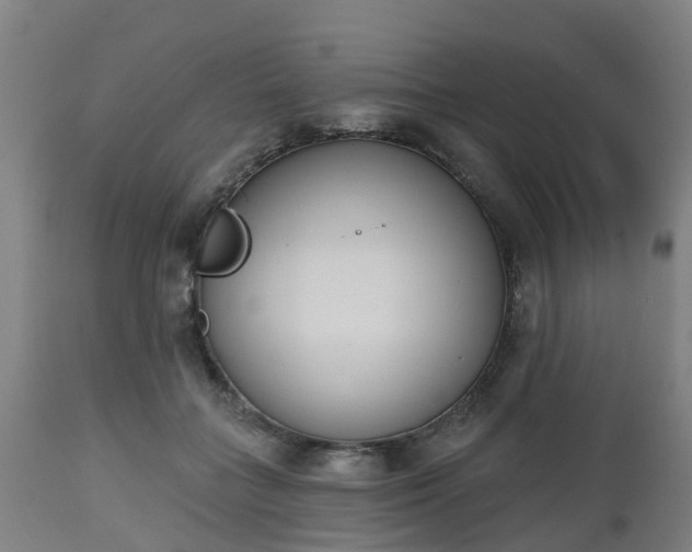 X0000112500555200908241352