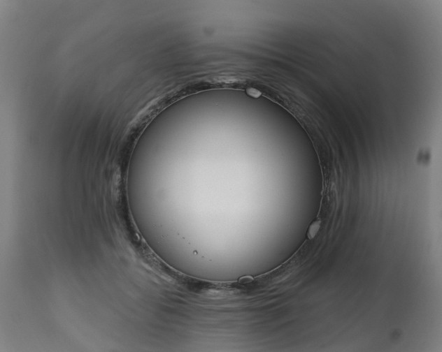 X0000112500556200908241352