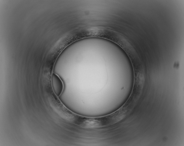 X0000112500557200908241352