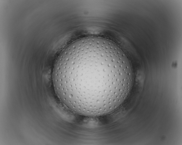 X0000112500559200908241352