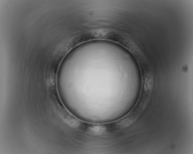 X0000112500561200908241352