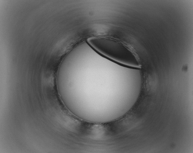 X0000112500562200908241352