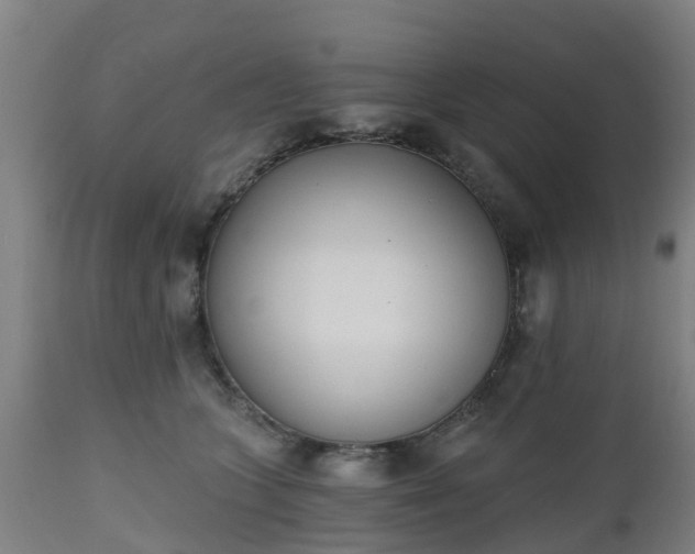 X0000112500563200908241352