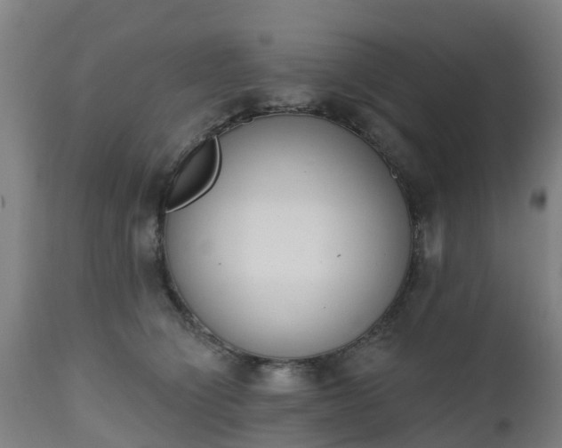 X0000112500564200908241352