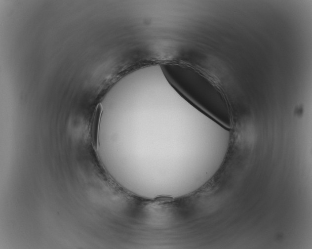 X0000112500568200908241352