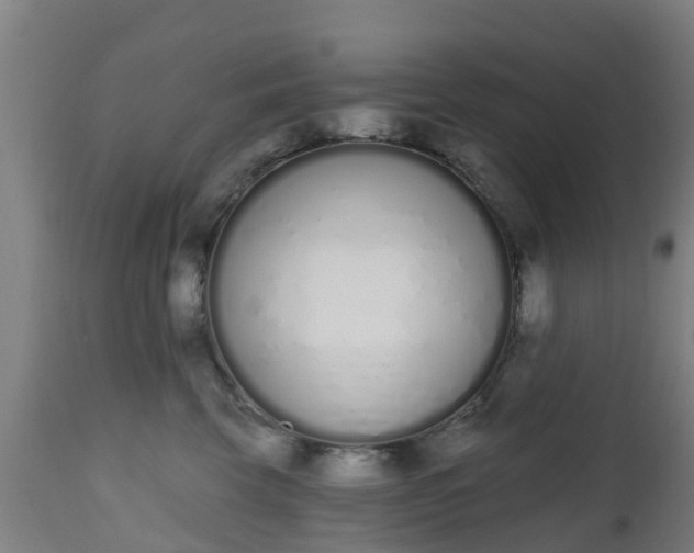 X0000112500569200908241352