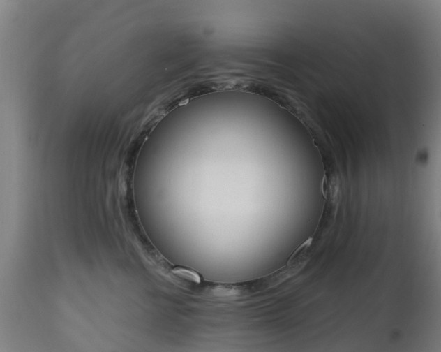 X0000112500570200908241352