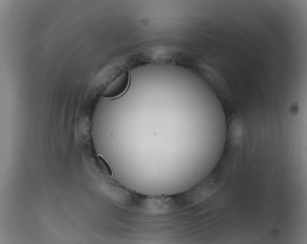 X0000112500571200908241352