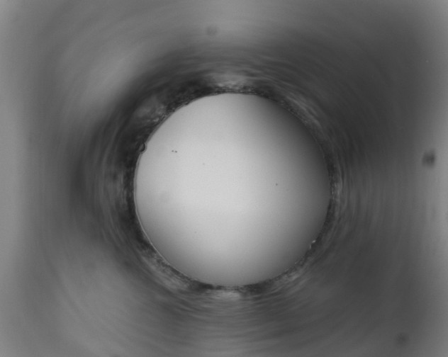 X0000112500572200908241352