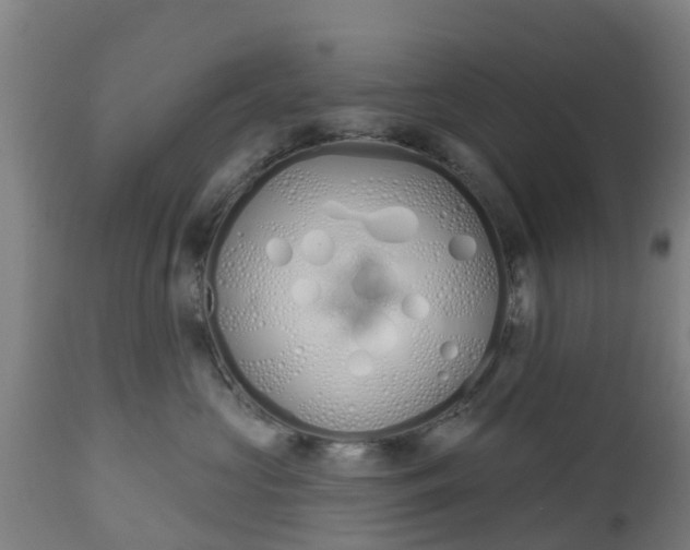 X0000112500573200908241352