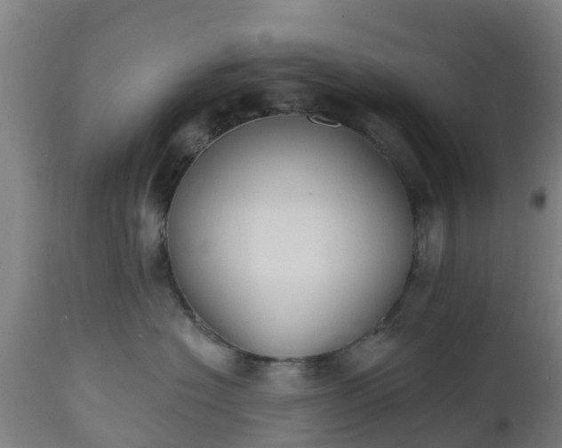 X0000112500574200908241352