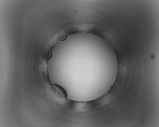 X0000112500575200908241352