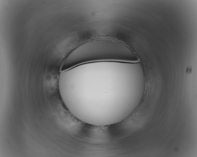 X0000112500576200908241352