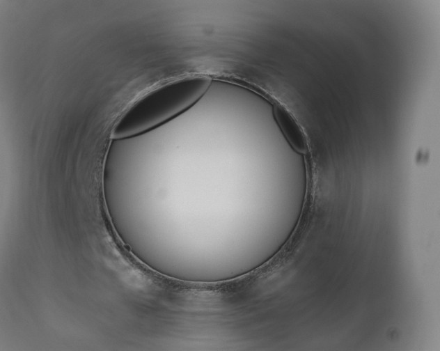 X0000112500577200908241351