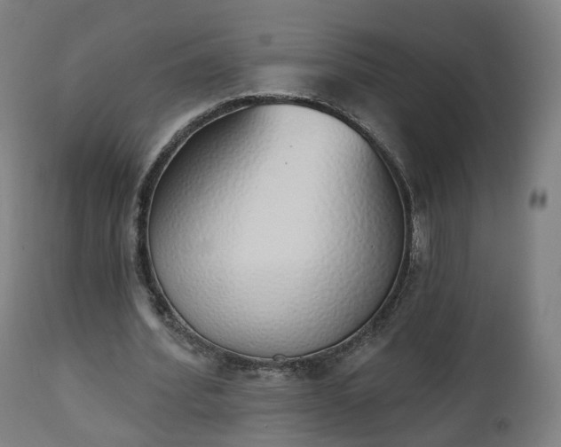 X0000112500580200908241351