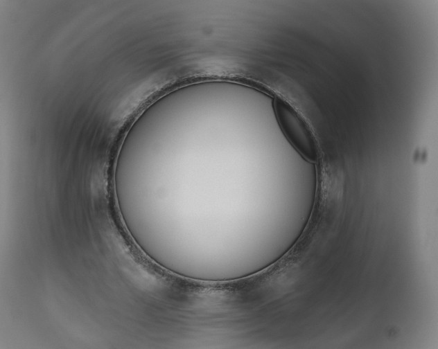 X0000112500581200908241351