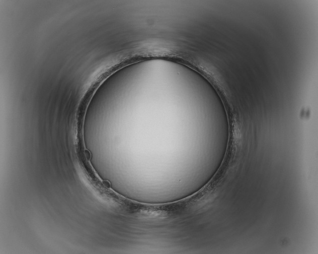 X0000112500582200908241351