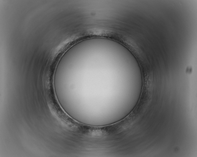 X0000112500587200908241351