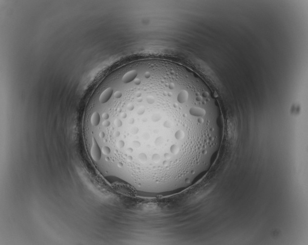 X0000112500588200908241351