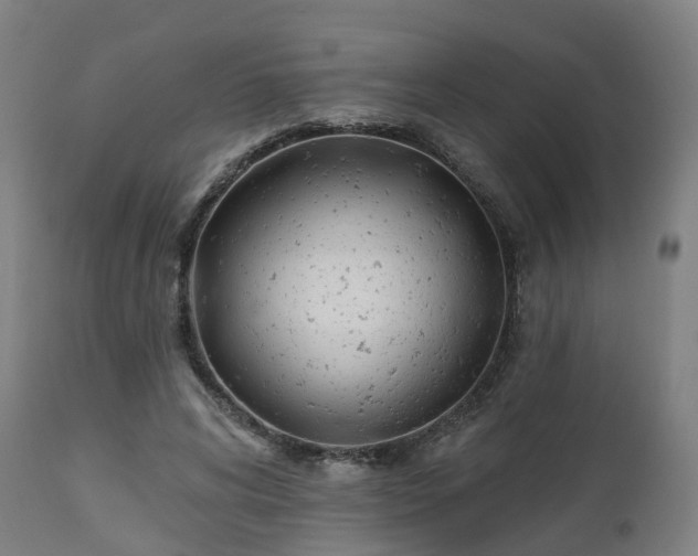 X0000112500592200908241351