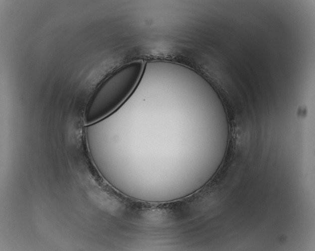 X0000112500593200908241351