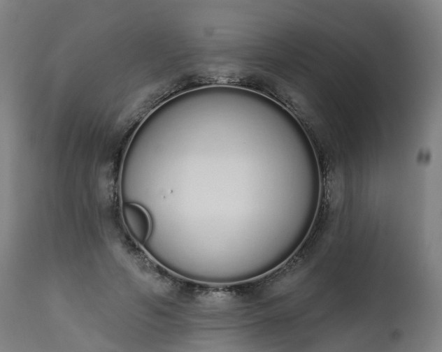 X0000112500594200908241351