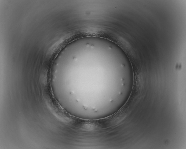 X0000112500596200908241351