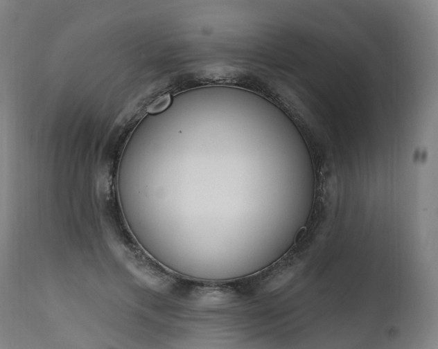 X0000112500597200908241351