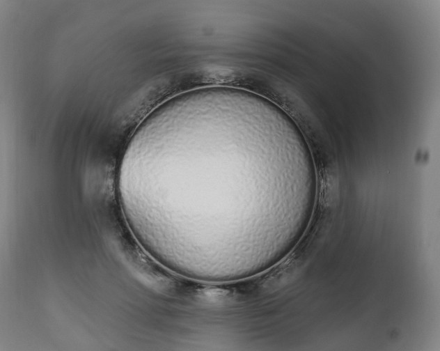 X0000112500598200908241351