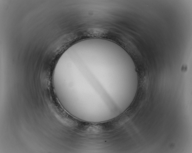 X0000112500599200908241351