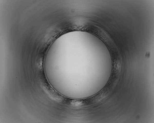 X0000112500602200908241351