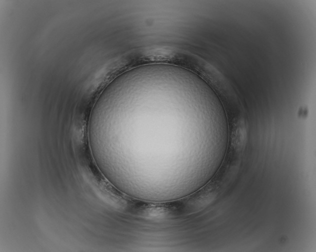 X0000112500604200908241351