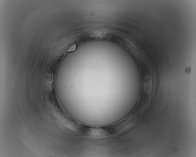 X0000112500605200908241351