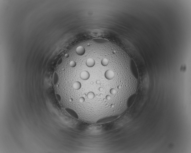 X0000112500606200908241351