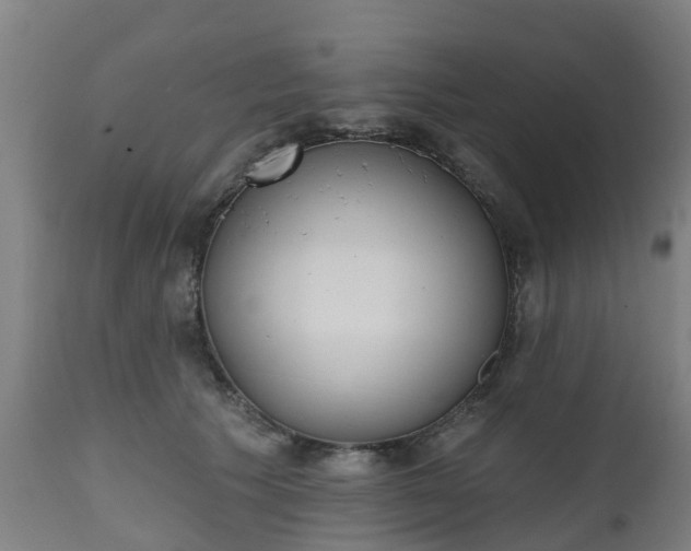 X0000112500609200908241351