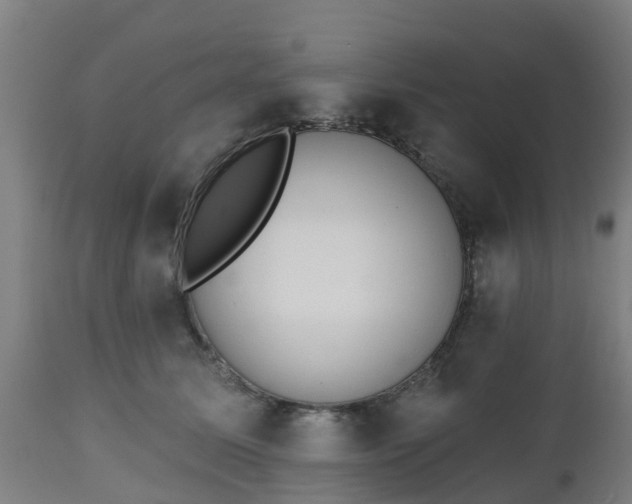 X0000112500611200908241351