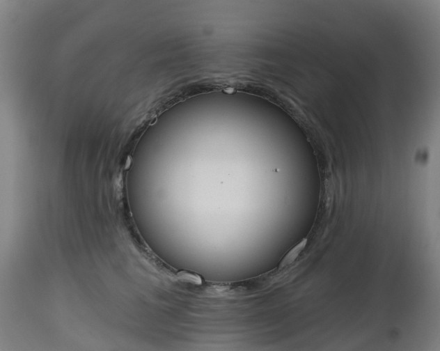 X0000112500613200908241351